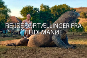 Read more about the article Rejsefortællinger af Heidi Manøe